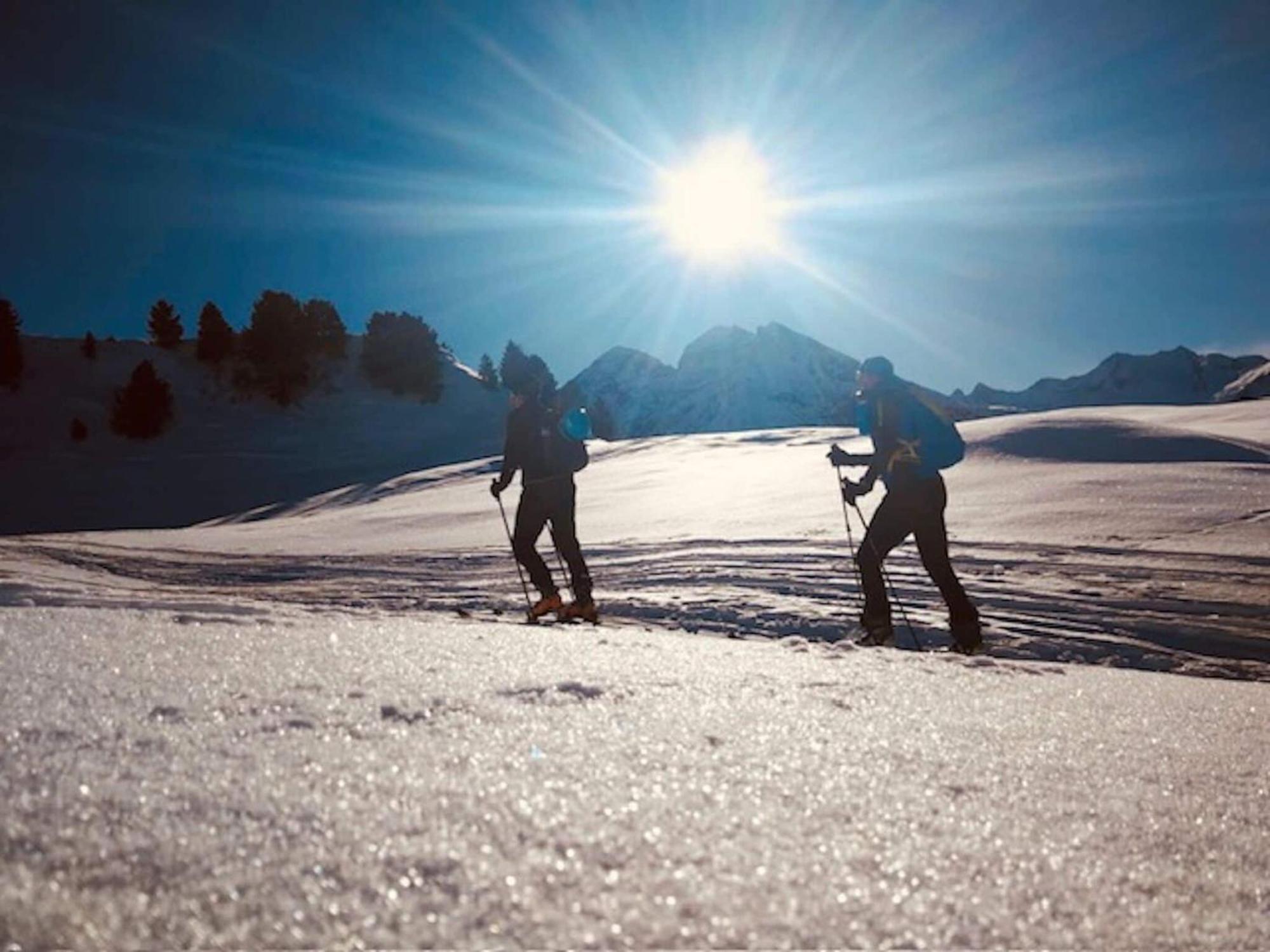 Flat South Of Kitzb Hel With Nationalparkcard Apartment ฮอลเลอร์บาค อิม พินซ์เกา ภายนอก รูปภาพ